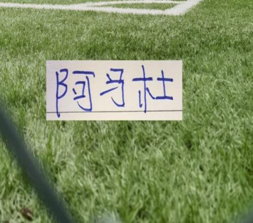 掘金逆袭雄,约基奇获加,内特赞誉,太阳城娱乐城,太阳城娱乐官网,澳门太阳城娱乐场