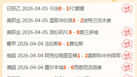 加拉塔萨雷教练因不当言论被控损害足球声誉