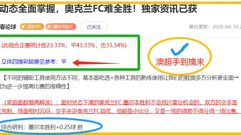 大乐透期号专家质合分析：费内巴切客场预测